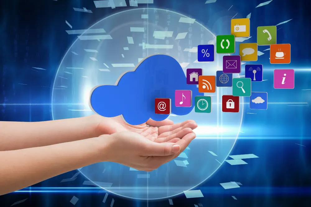 Internet Applications and Web Services Expert Witness
